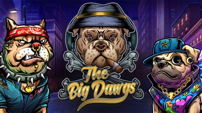 the big dawgs recensie